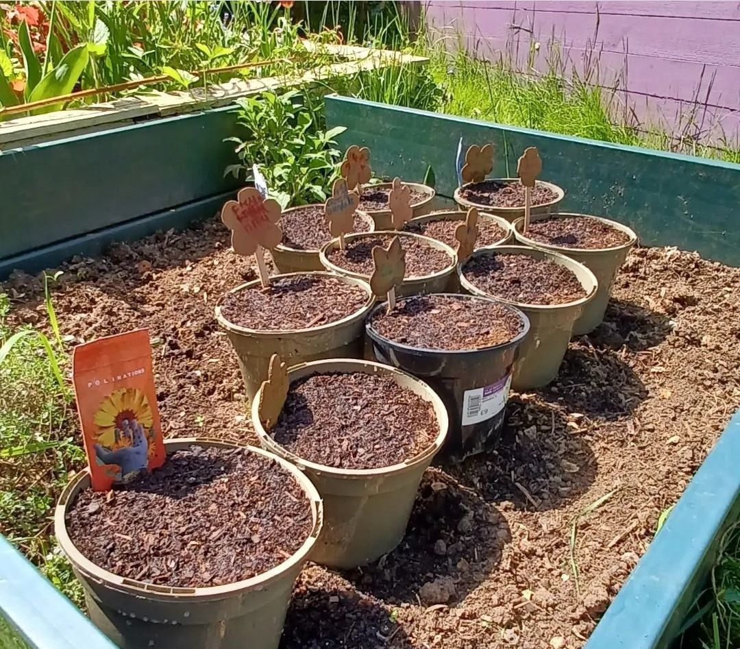 Masefield Community Garden