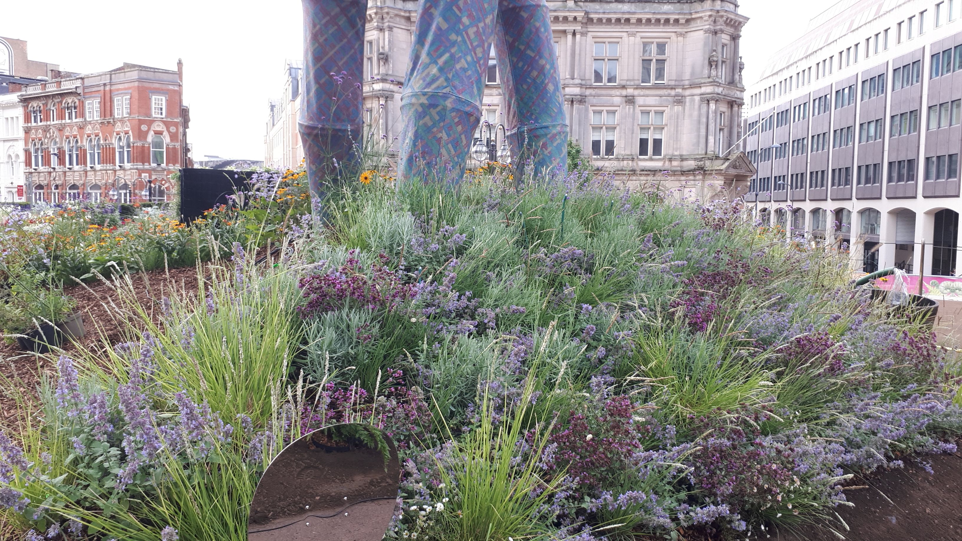 Lavender Mirror Garden